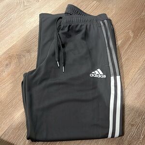 Adidas Men’s Large Gray Track Pants
